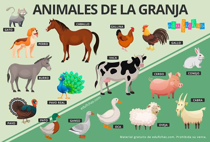 Maqueta animales domesticos