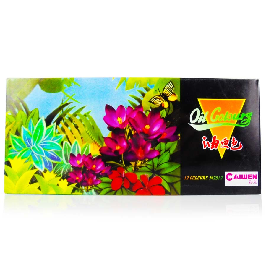 Pinturas Oleo Caiwen 12 Colores