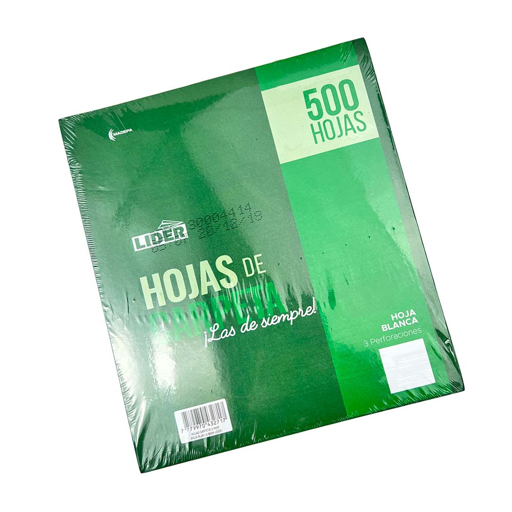 Hojas de Carpeta Lider 500hjs