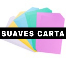 [CAR-CAR-COLOR] Cartulina Carta Colores Suaves 100hjs