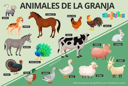 [830B2-1] Maqueta animales domesticos