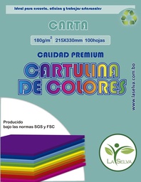 [CI20100-CA] Cartulina de 10 colores intensos CARTA La Selva de 100 hjs